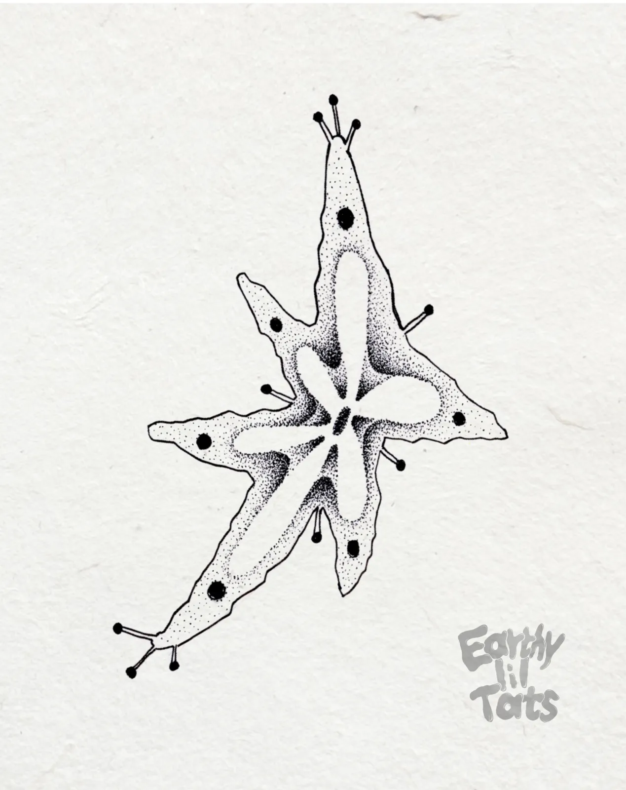 Flash design: Imaginary Creatures