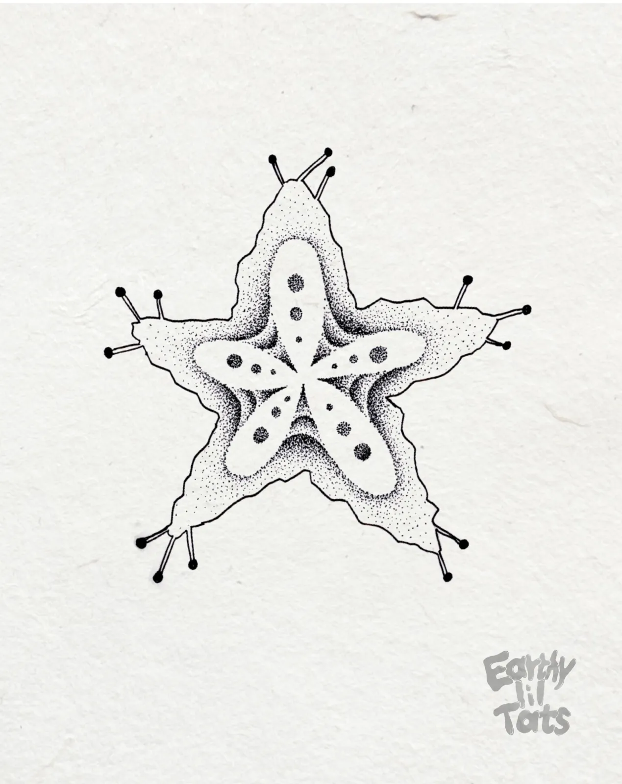 Flash design: Imaginary Creatures