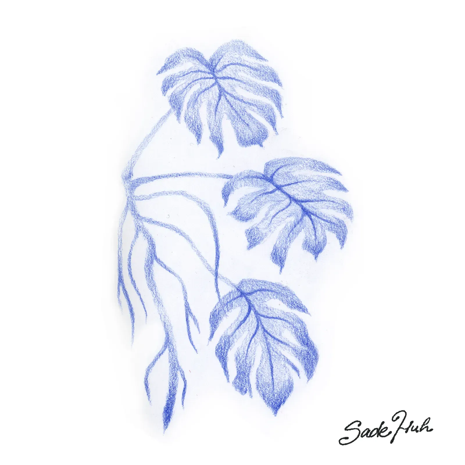 Flash design: "Common Roots"  with Sadé Huh