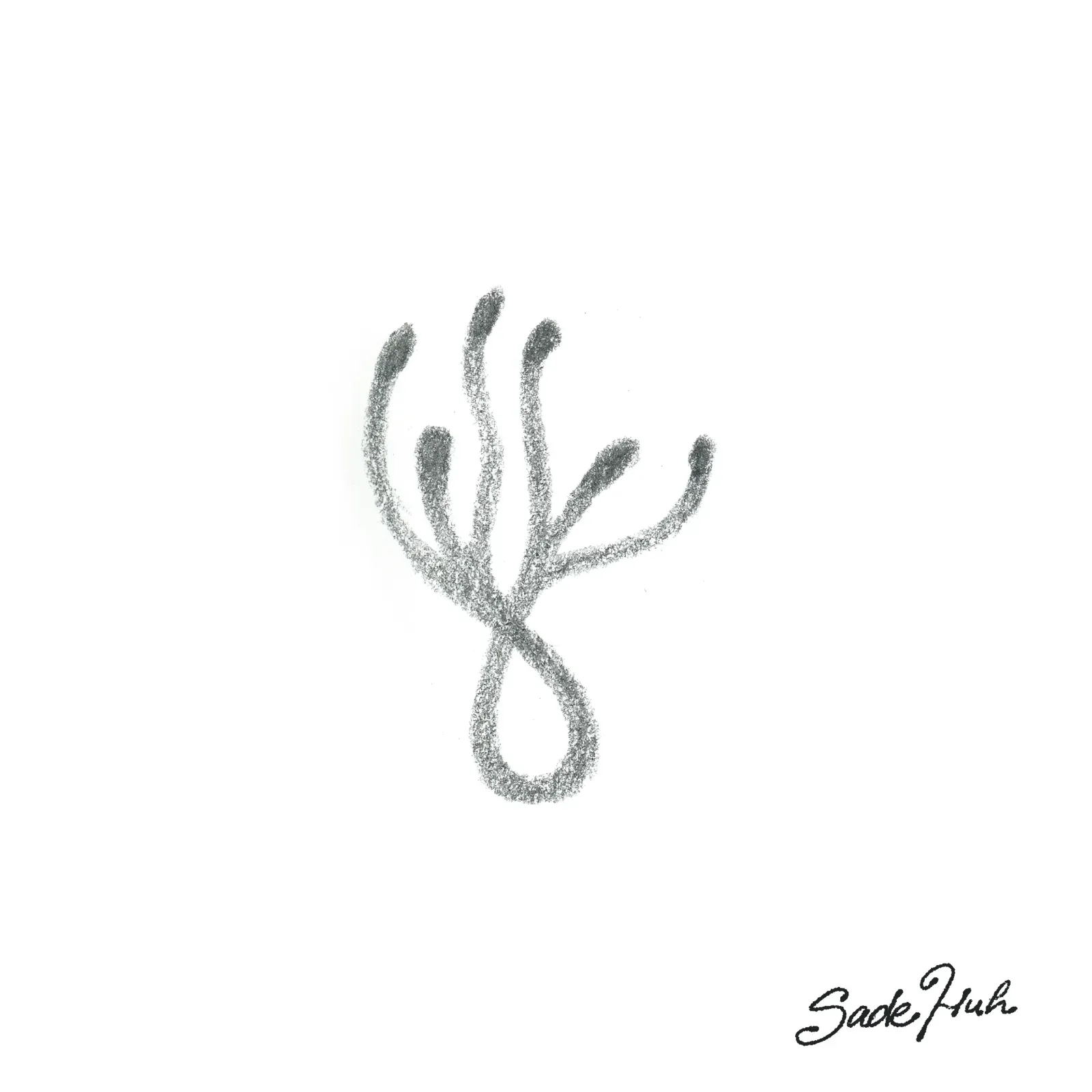 Flash design: "Common Roots"  with Sadé Huh