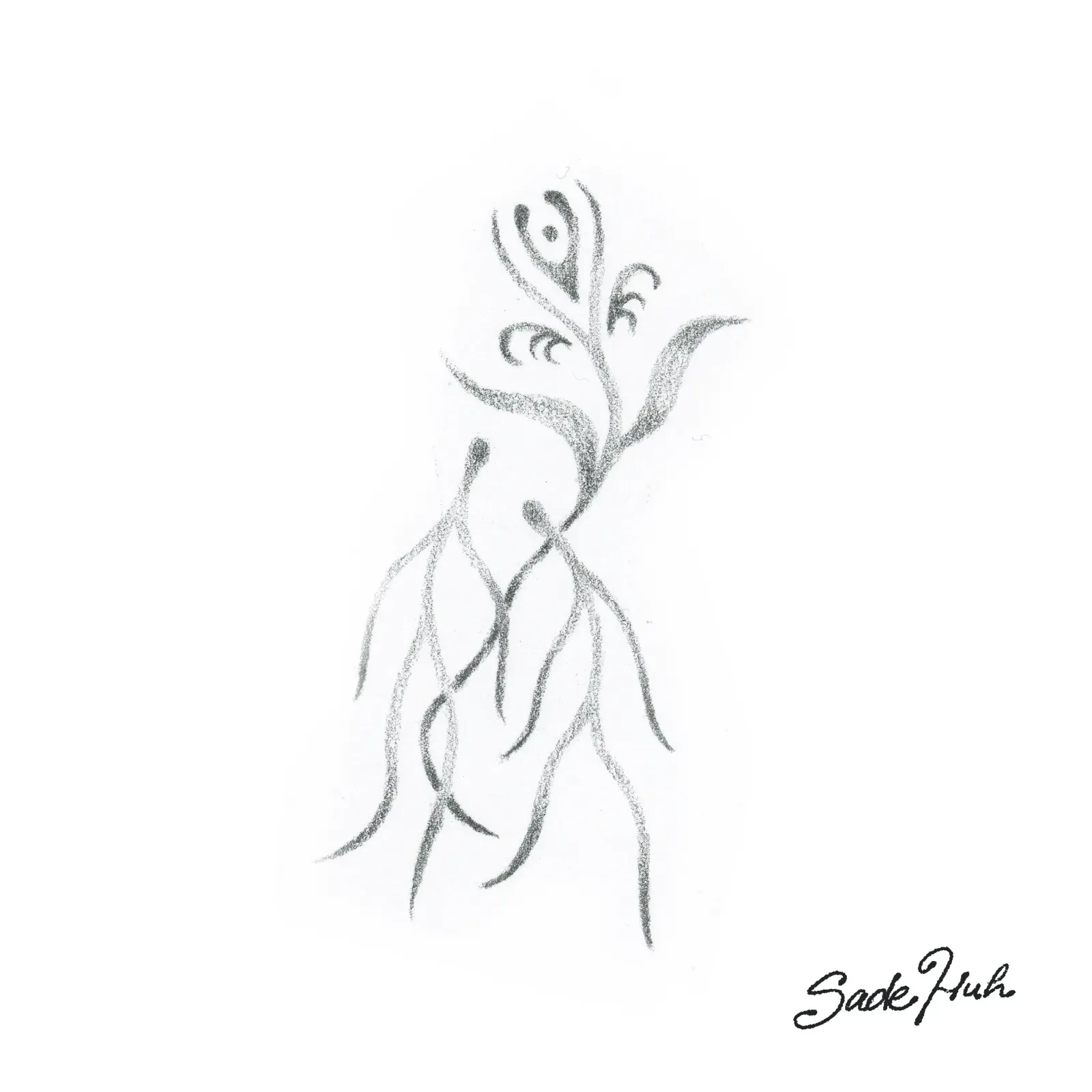 Flash design: "Common Roots"  with Sadé Huh