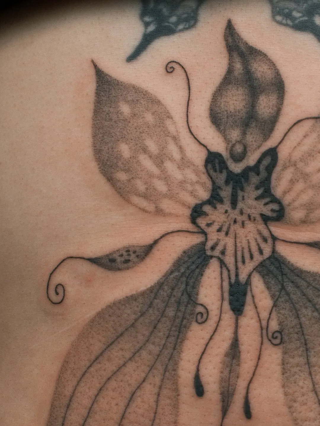 Healed tattoo by Earthy Lil Tats