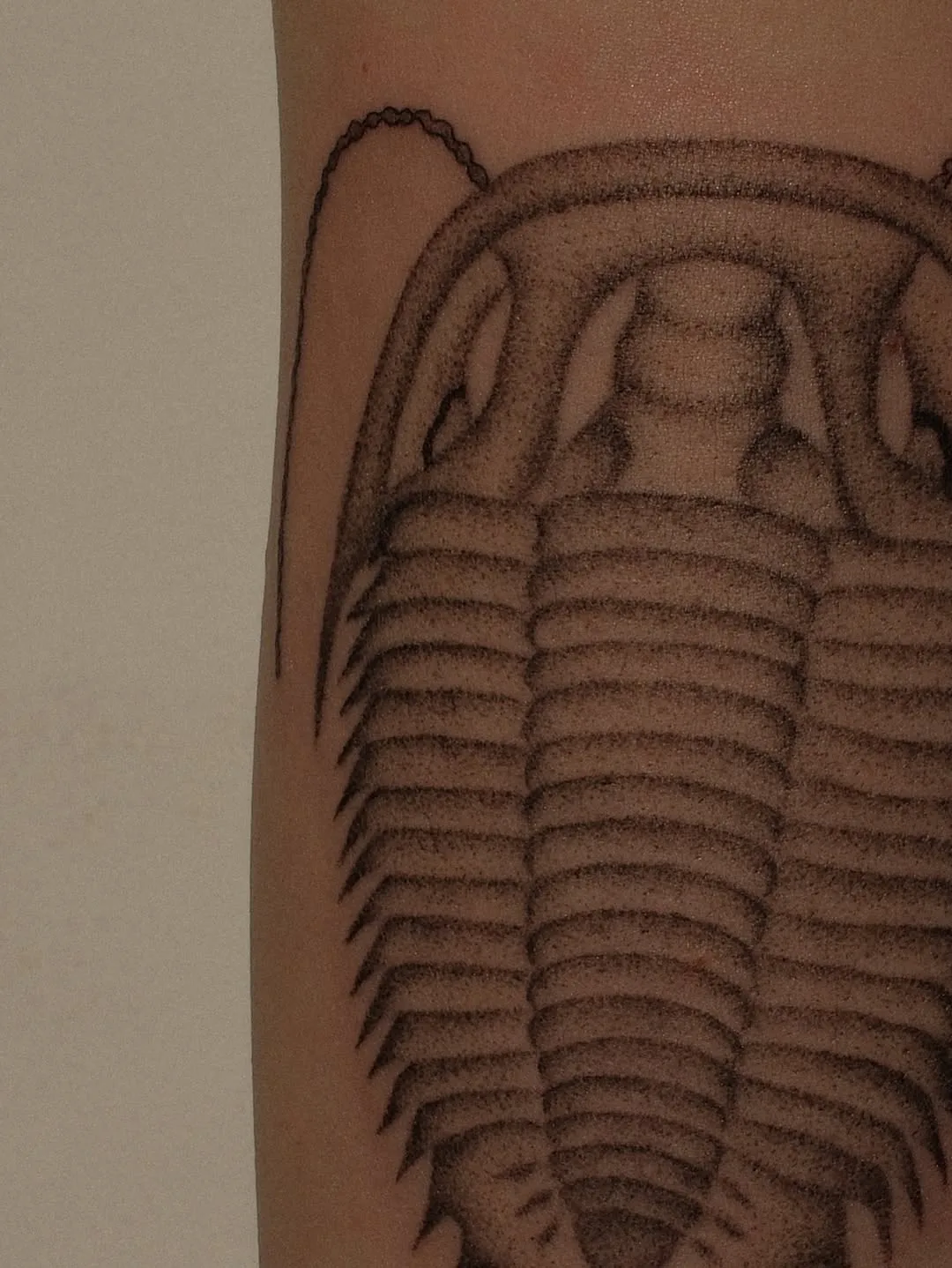 Healed tattoo by Earthy Lil Tats
