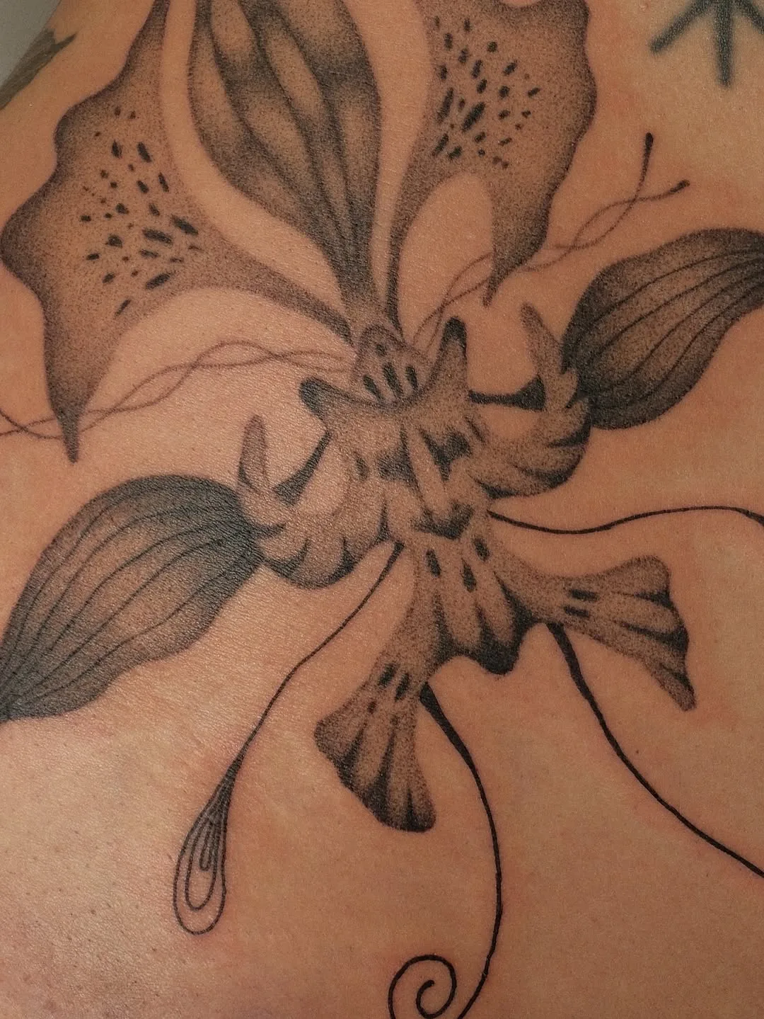 Healed tattoo by Earthy Lil Tats