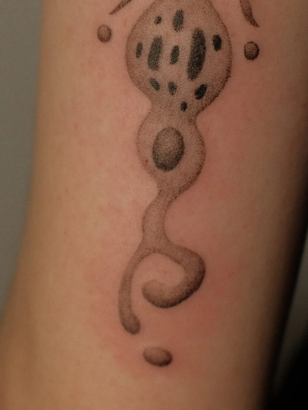 Healed tattoo by Earthy Lil Tats