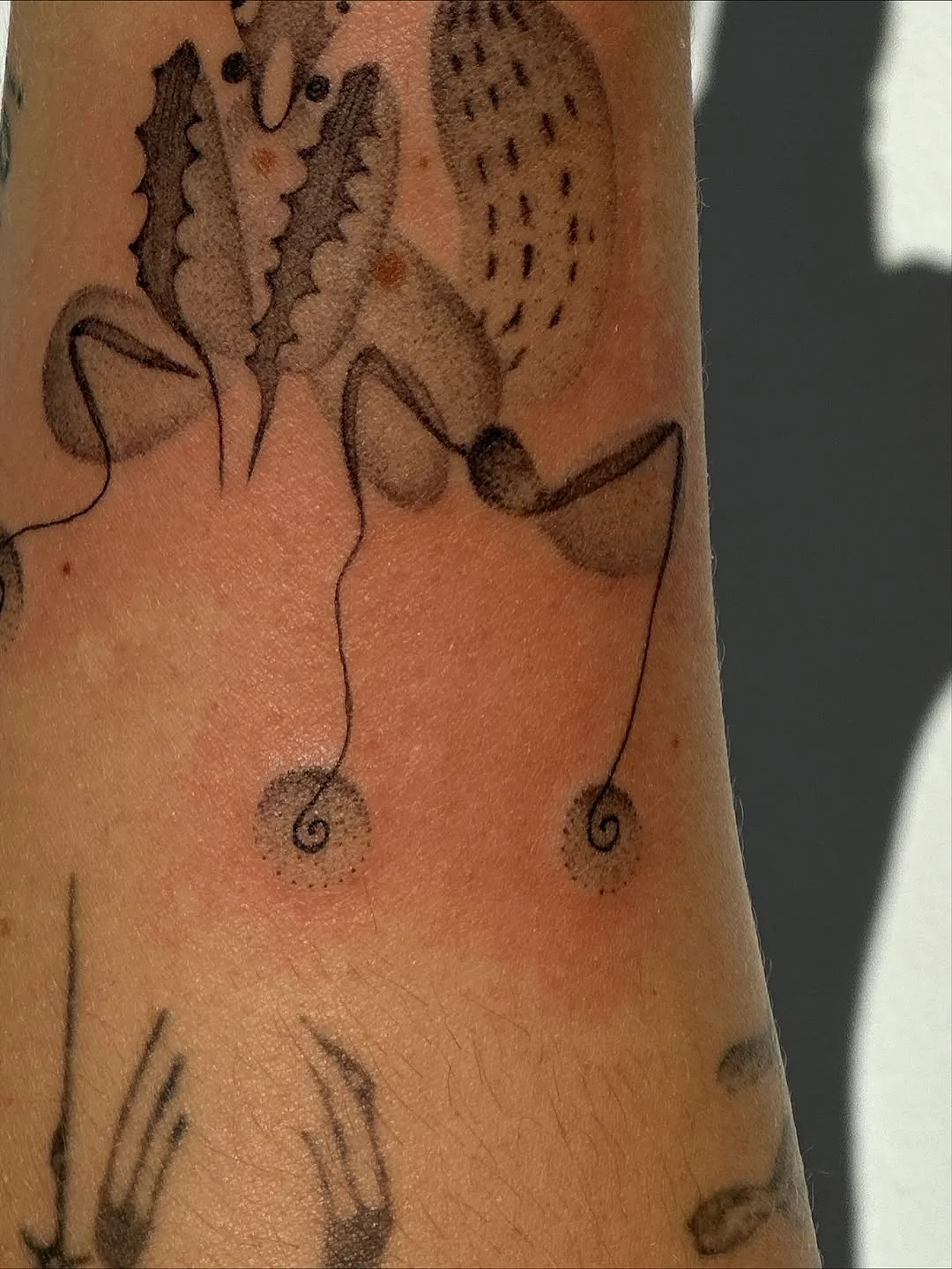 Healed tattoo by Earthy Lil Tats