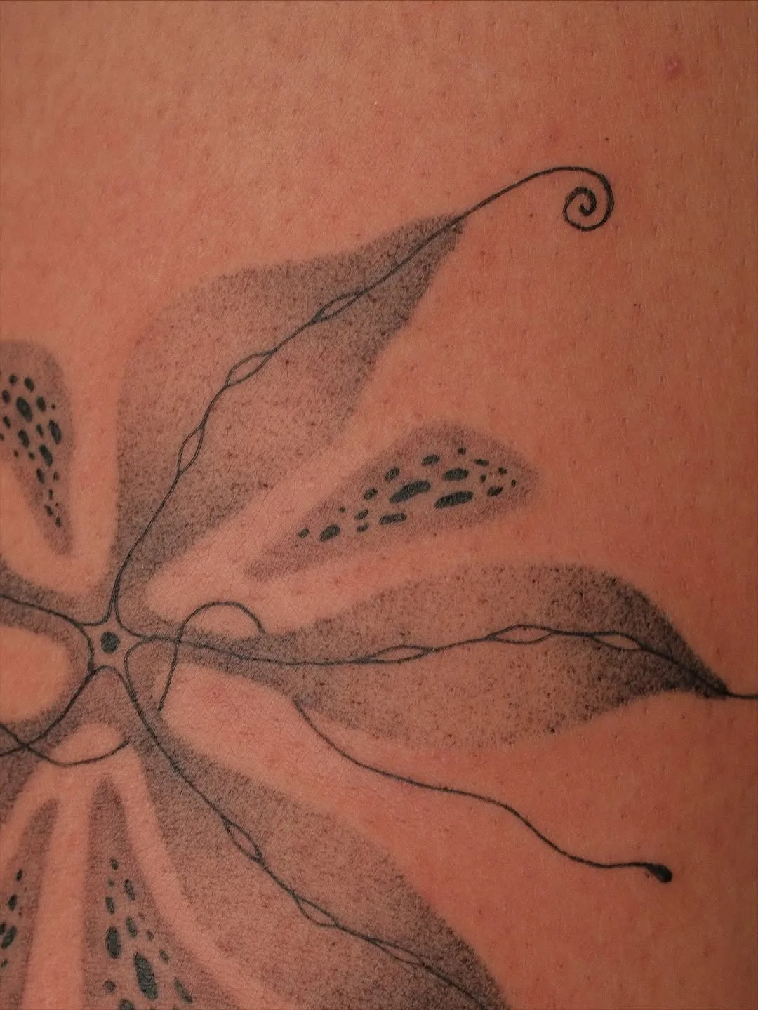 Healed tattoo by Earthy Lil Tats