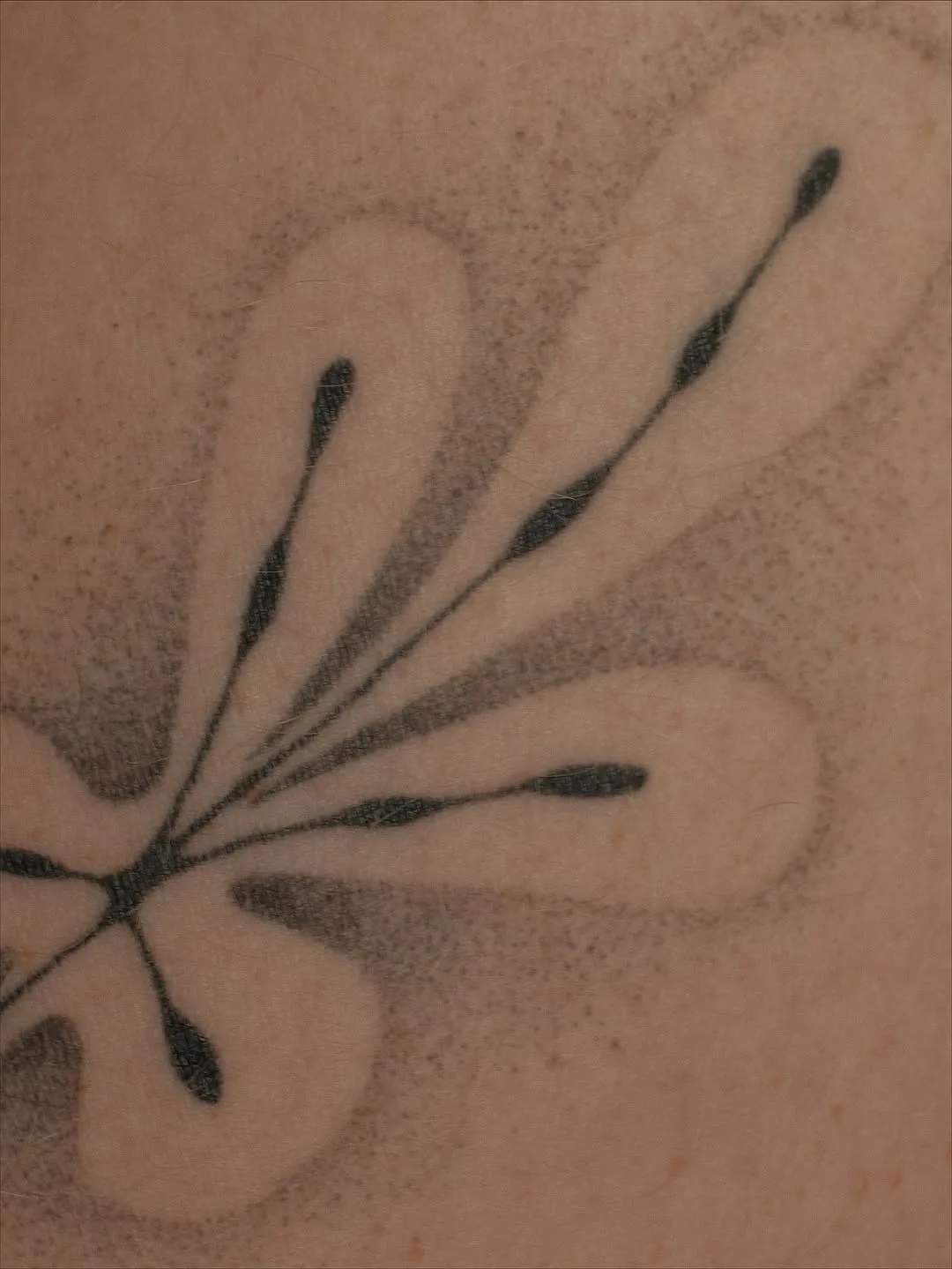 Healed tattoo by Earthy Lil Tats